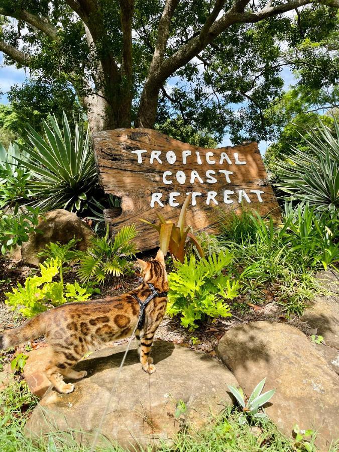 Гостьовий будинок Tropical Coast Retreat - Pet Friendly - Adult Only Кінгскліфф Екстер'єр фото