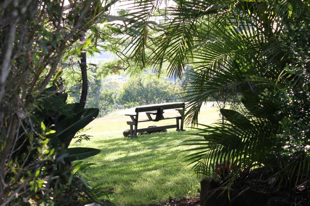 Гостьовий будинок Tropical Coast Retreat - Pet Friendly - Adult Only Кінгскліфф Екстер'єр фото